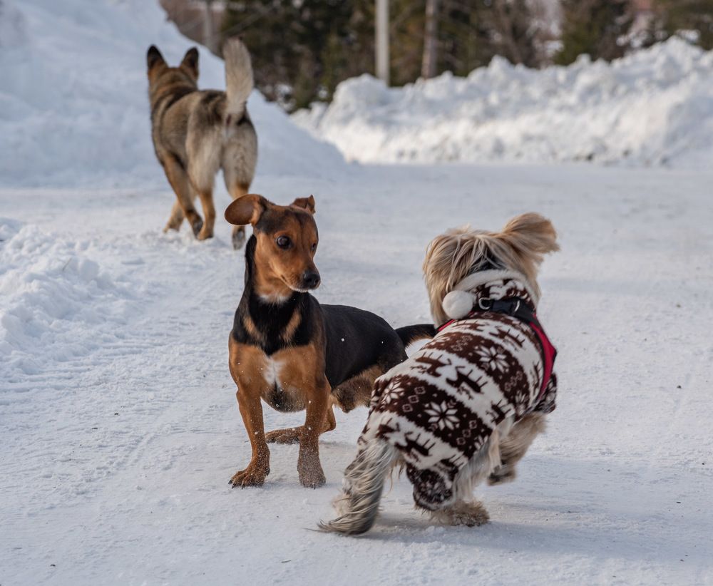 Photograph by Ирина Яук