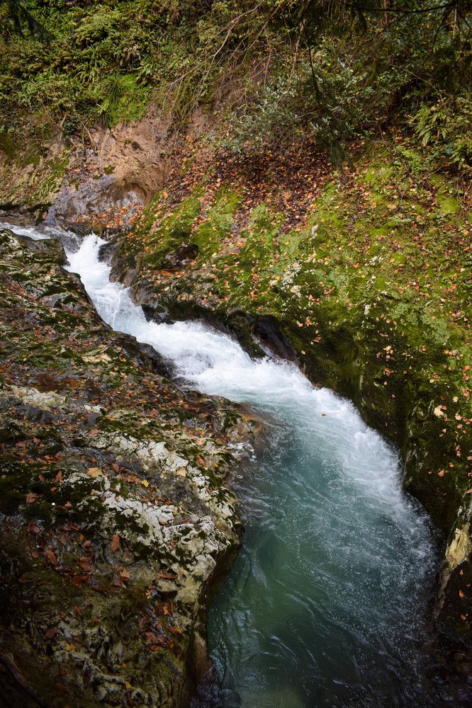 Черниговское ущелье. Абхазия.