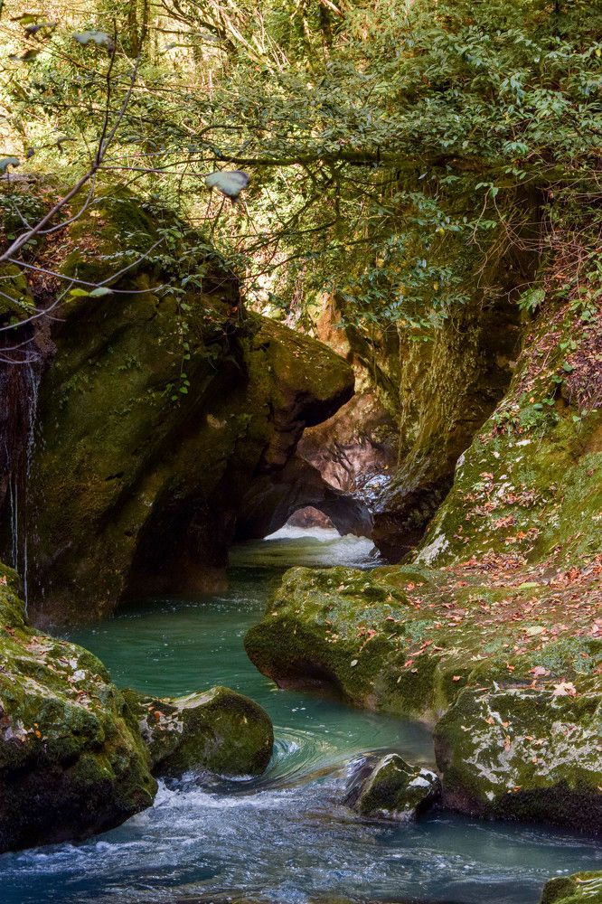 Черниговское ущелье. Абхазия.