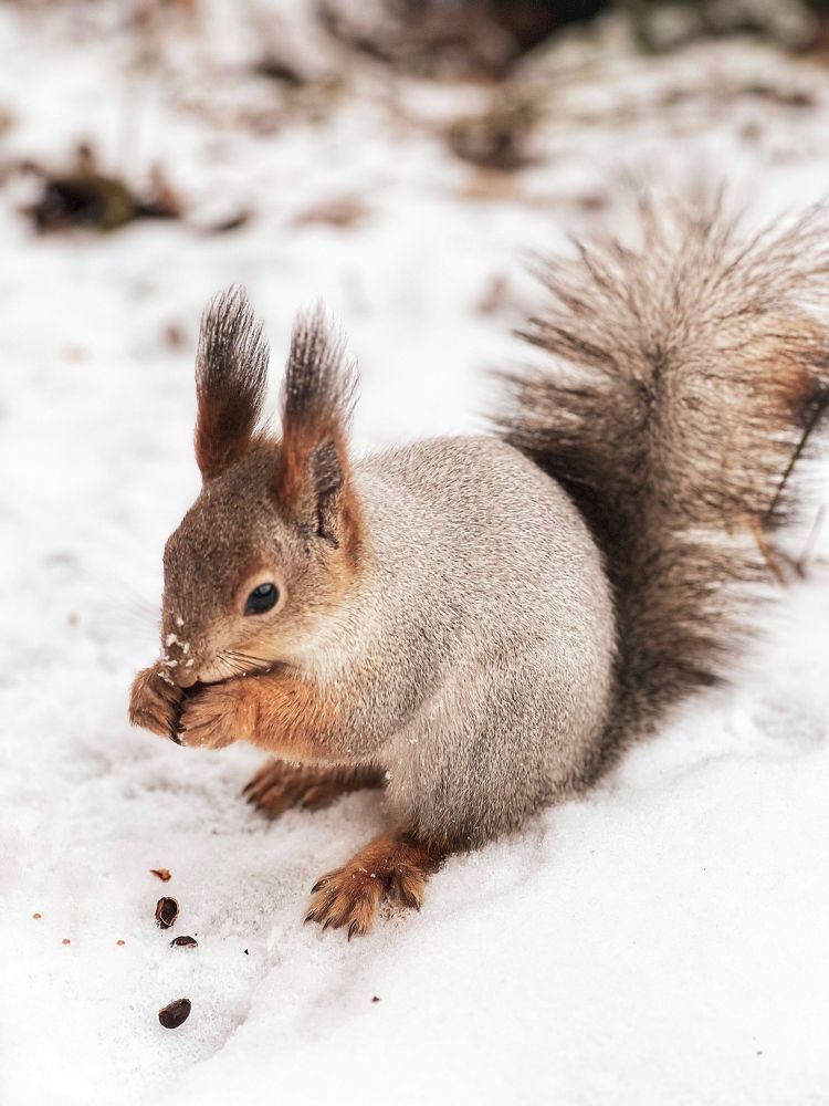 Photograph by Татьяна Волохова