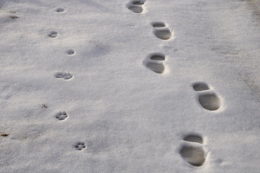 Photograph by Ольга Струкалина