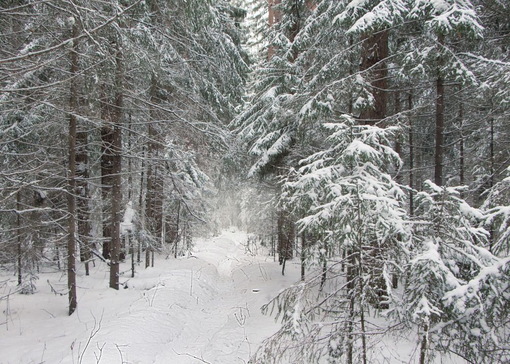 Photograph by Елена Шмырова