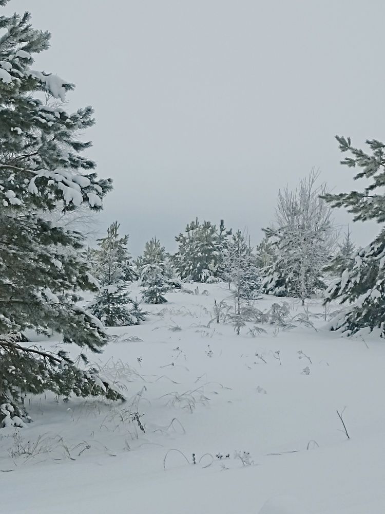 Photograph by Елена Шмырова