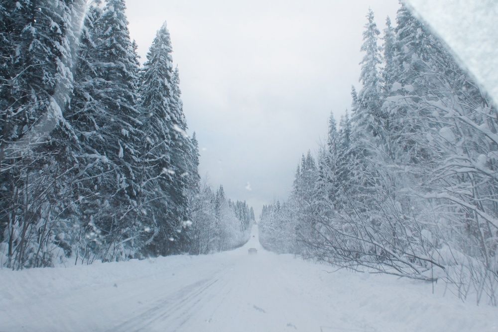 Photograph by Елена Шмырова