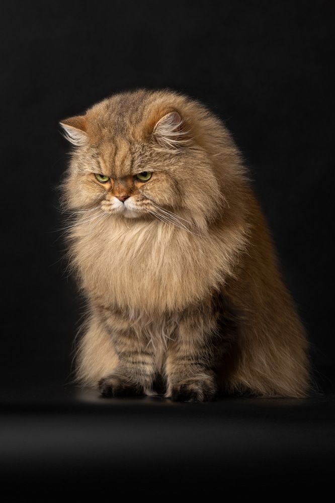 Photograph by Arina Bogachyova