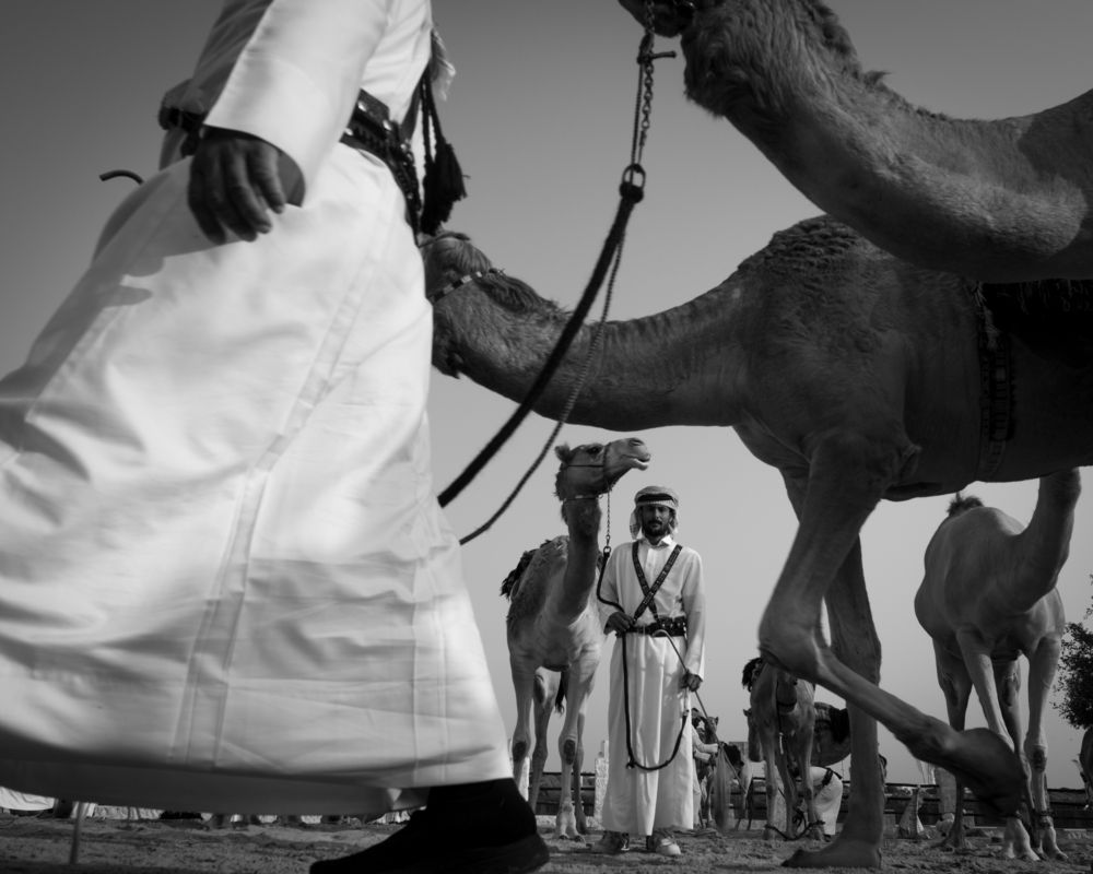 Фотография автора Nizam Nz