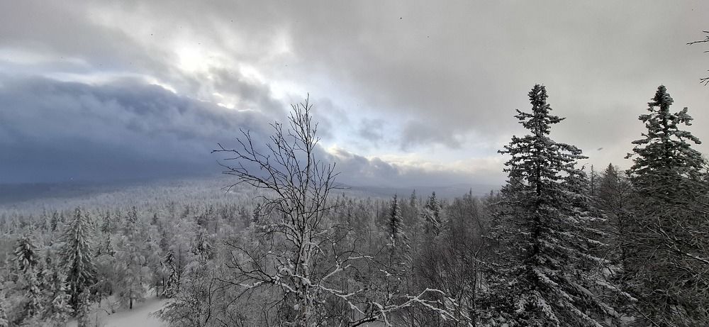 Photograph by Наталья Шулятина