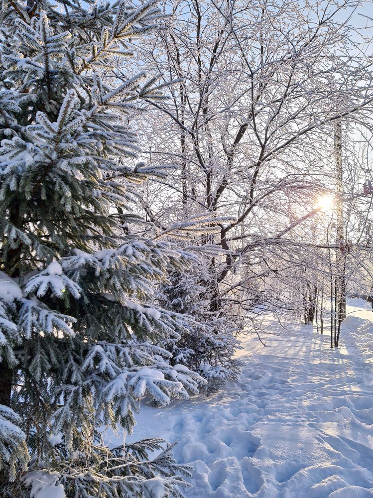 Photograph by Людмила Григорьева