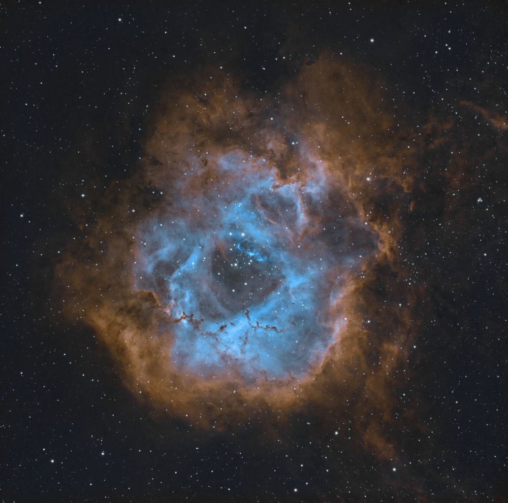 Nebula Rosette NGC 2237