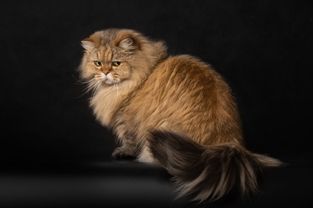 Photograph by Arina Bogachyova