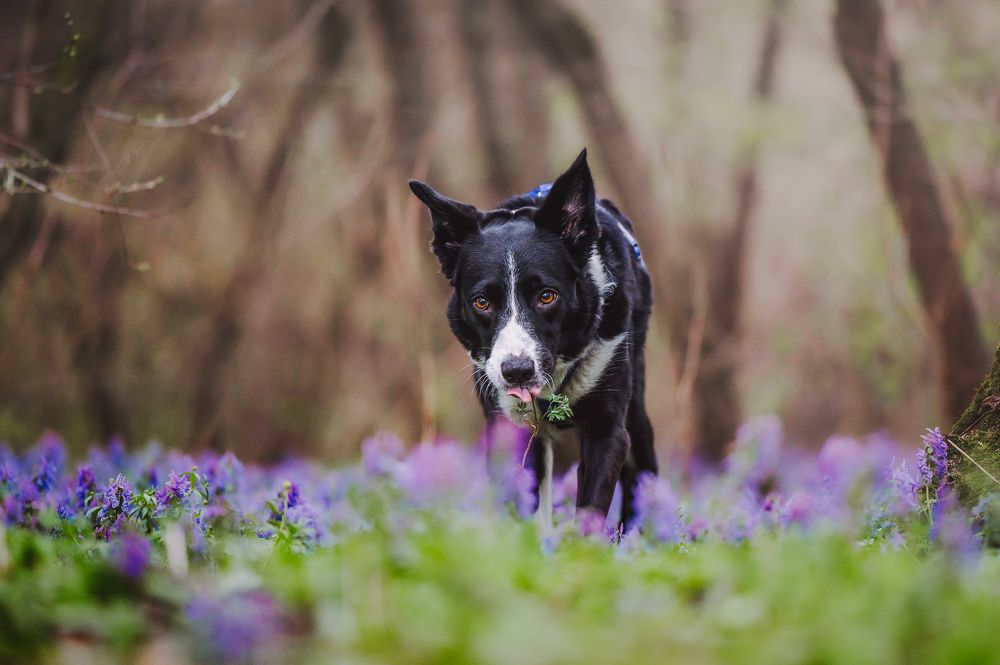 Photograph by Kate Entsi