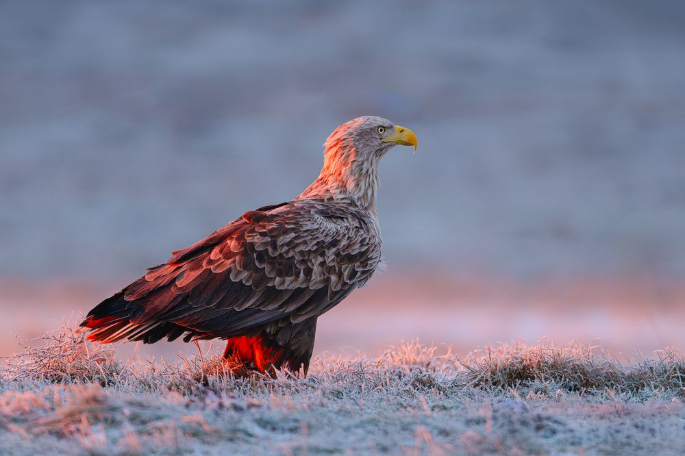 Photograph by Ruzhdi Ibrahimi