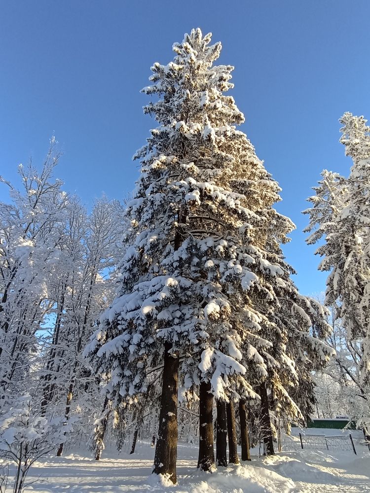 Фотография автора Natalia Khodina