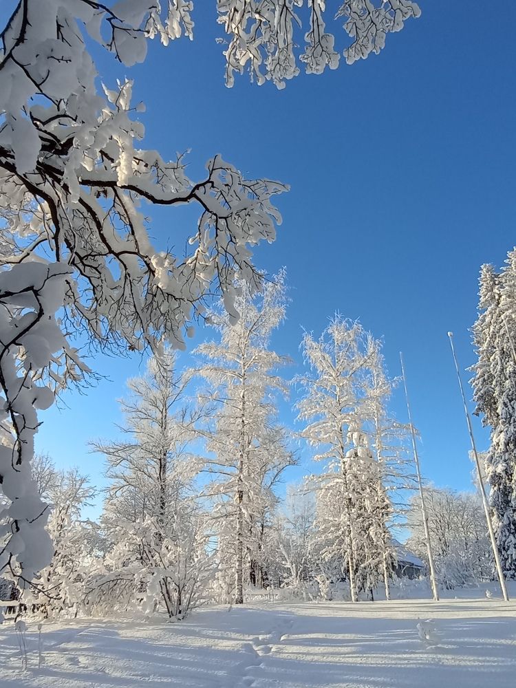 Фотография автора Natalia Khodina