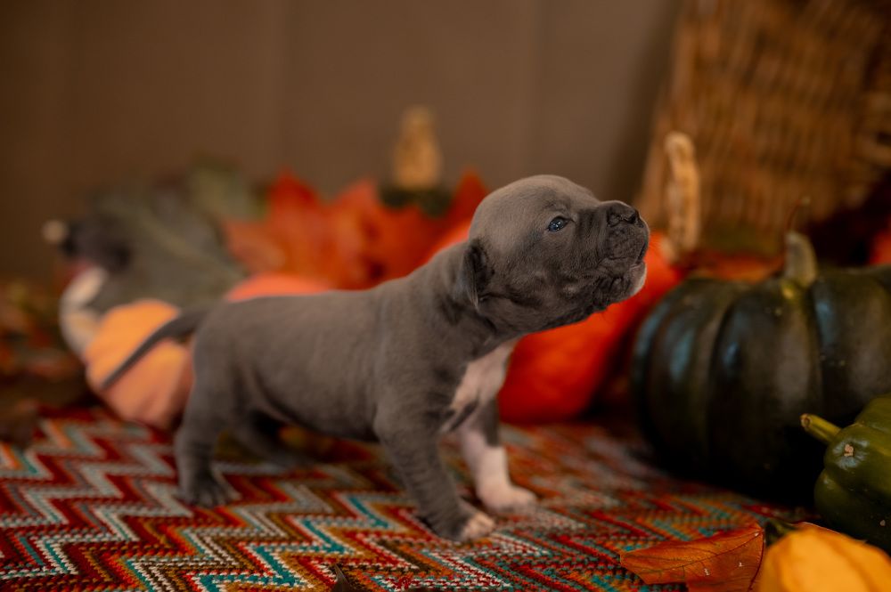 Photograph by Екатерина Каминская