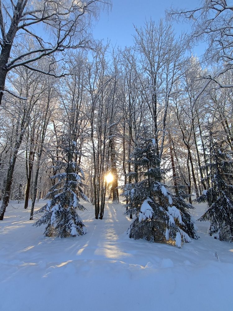 Фотография автора Natalia Khodina