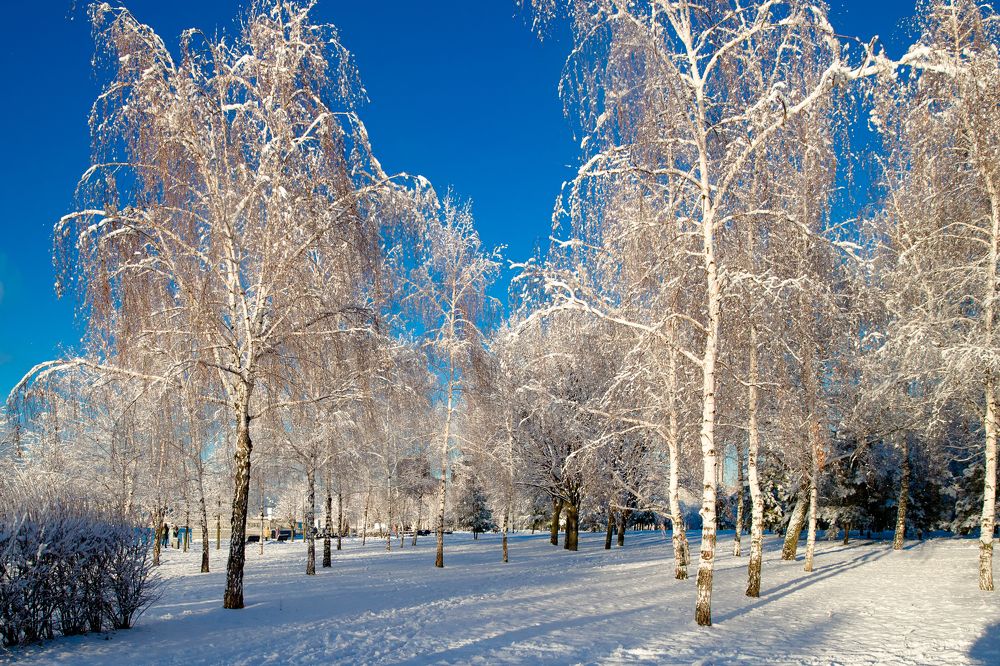 Photograph by Владимир Говоров