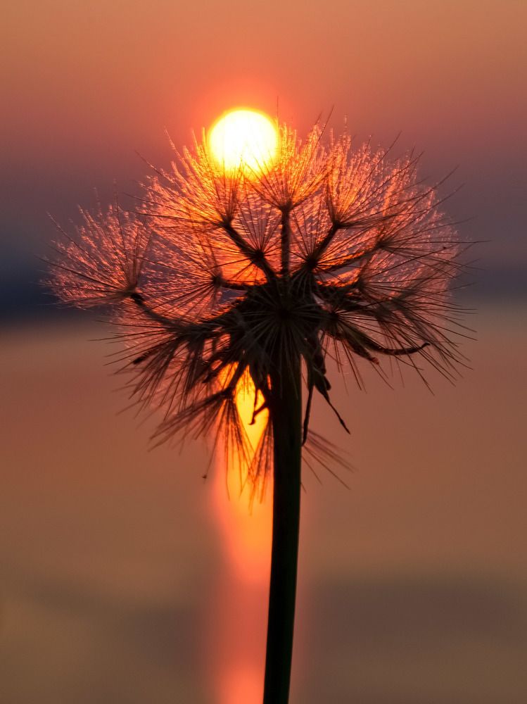 Photograph by Виктория Лобанова