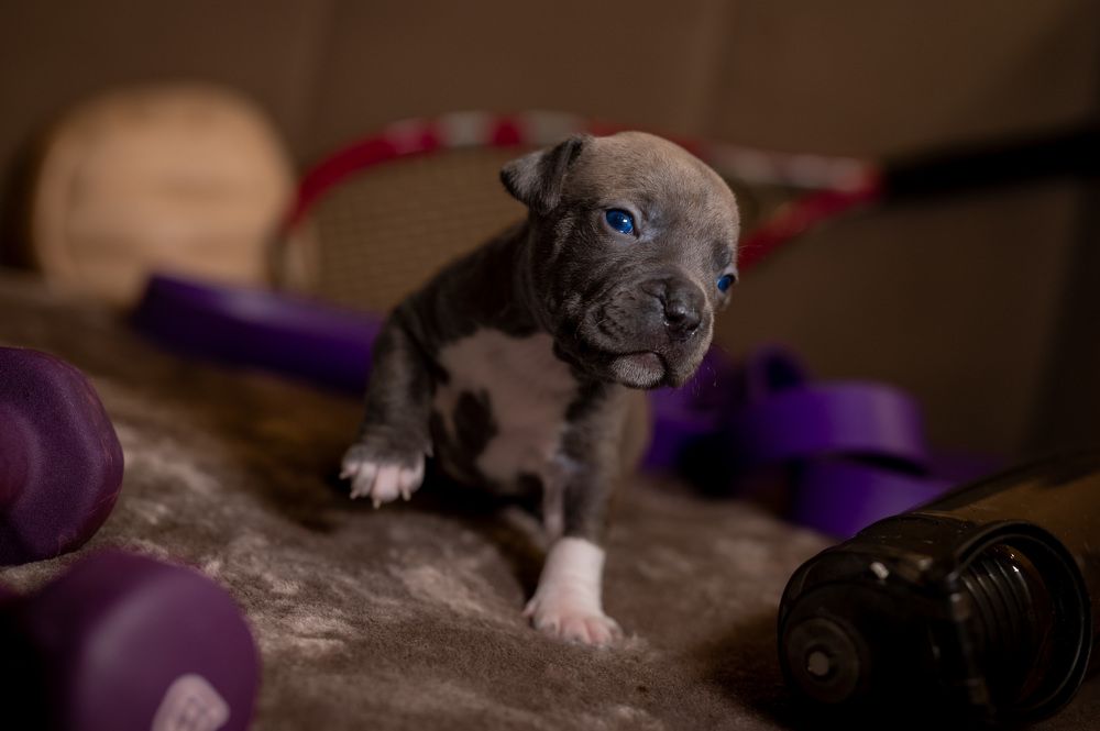 Photograph by Екатерина Каминская