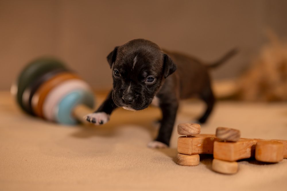 Photograph by Екатерина Каминская