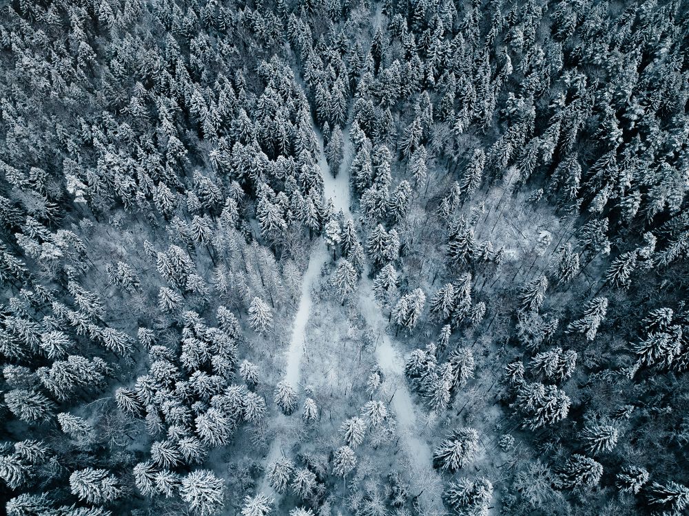 Photograph by Илья Цымбал