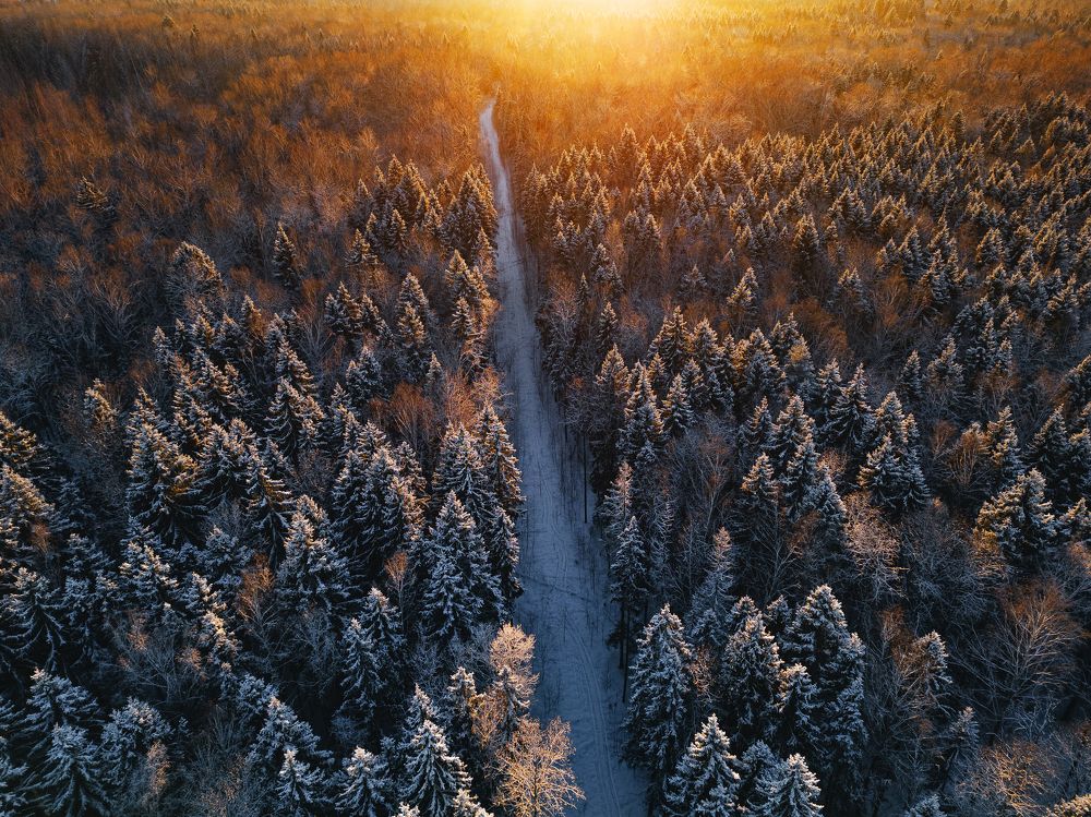 Photograph by Илья Цымбал