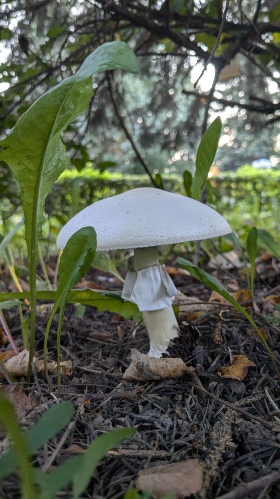 Photograph by Алексей Никифоров