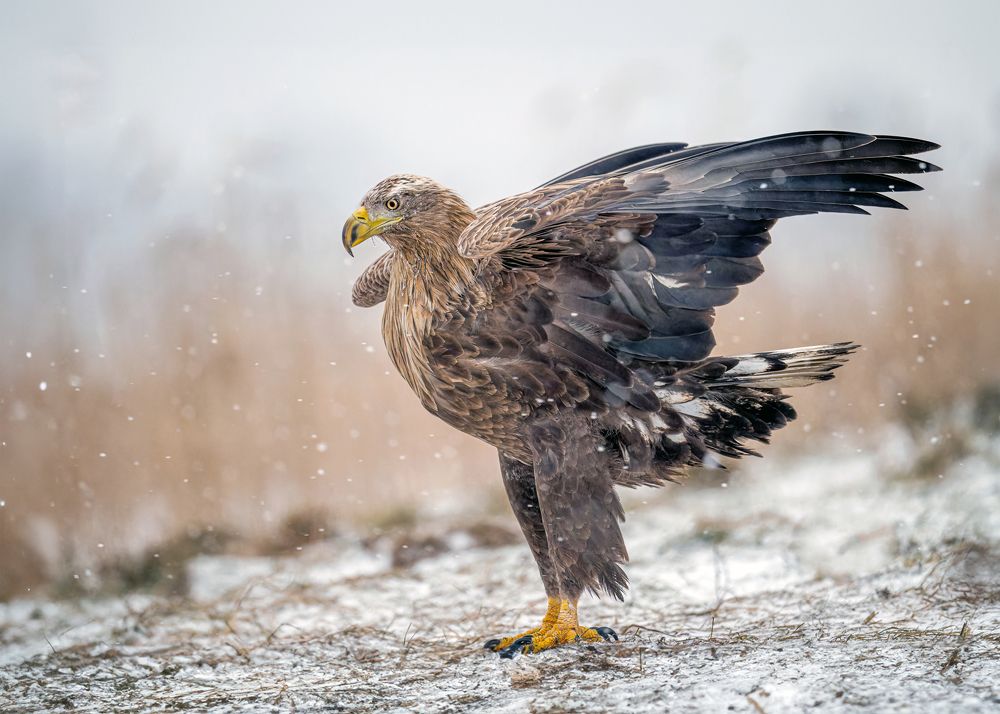 Photograph by Ruzhdi Ibrahimi