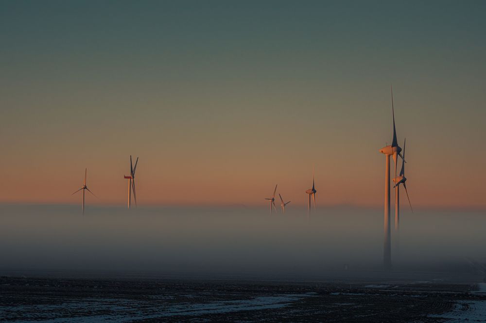 Photograph by Alisina Attaee