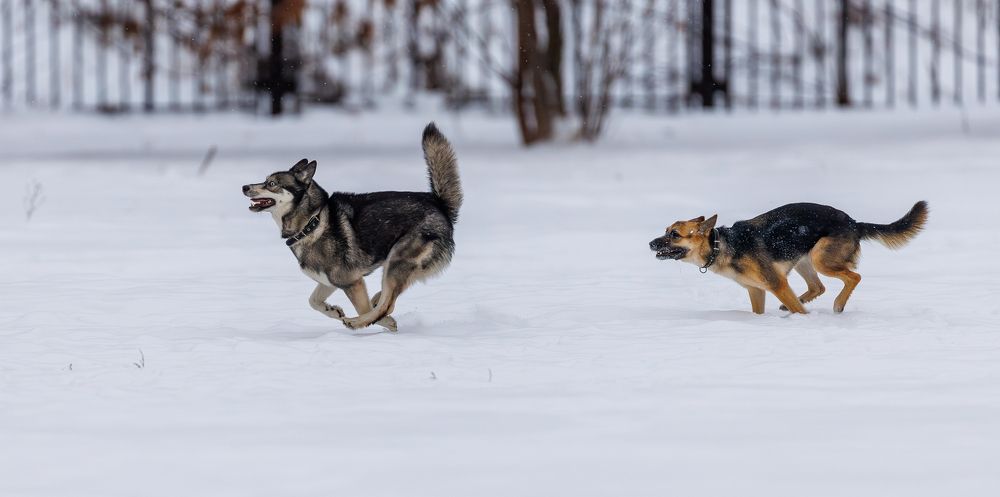 Photograph by Антон Науменко
