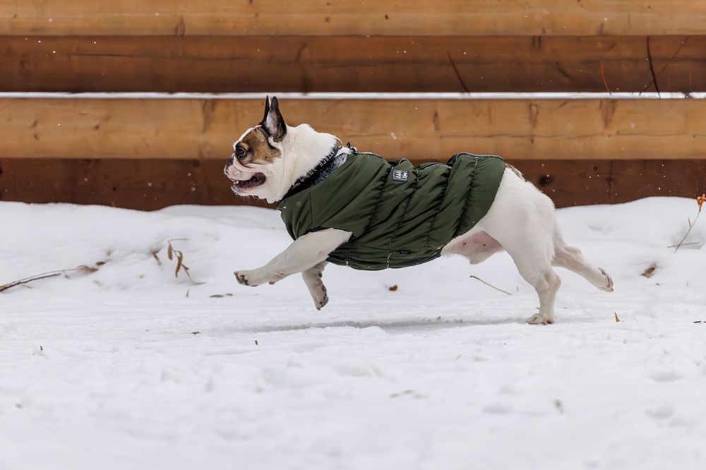 Photograph by Антон Науменко