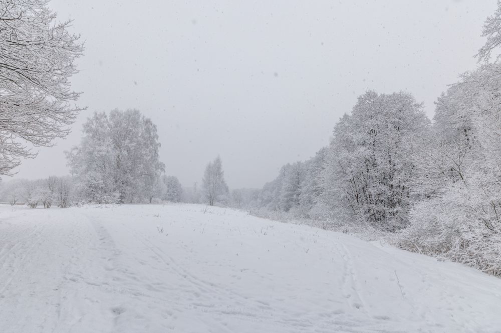 Photograph by Антон Науменко