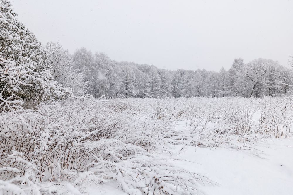 Photograph by Антон Науменко