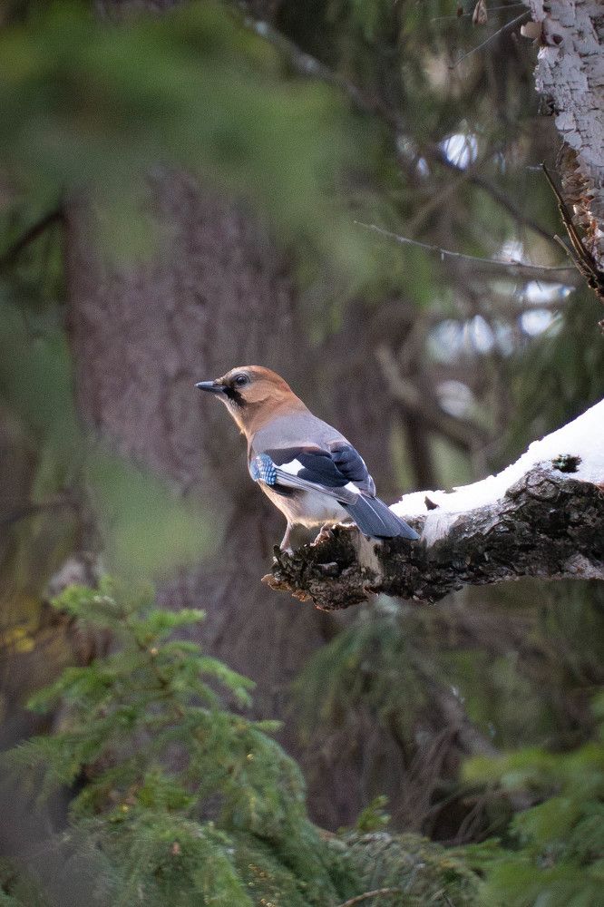 Photograph by Высотских Владимир