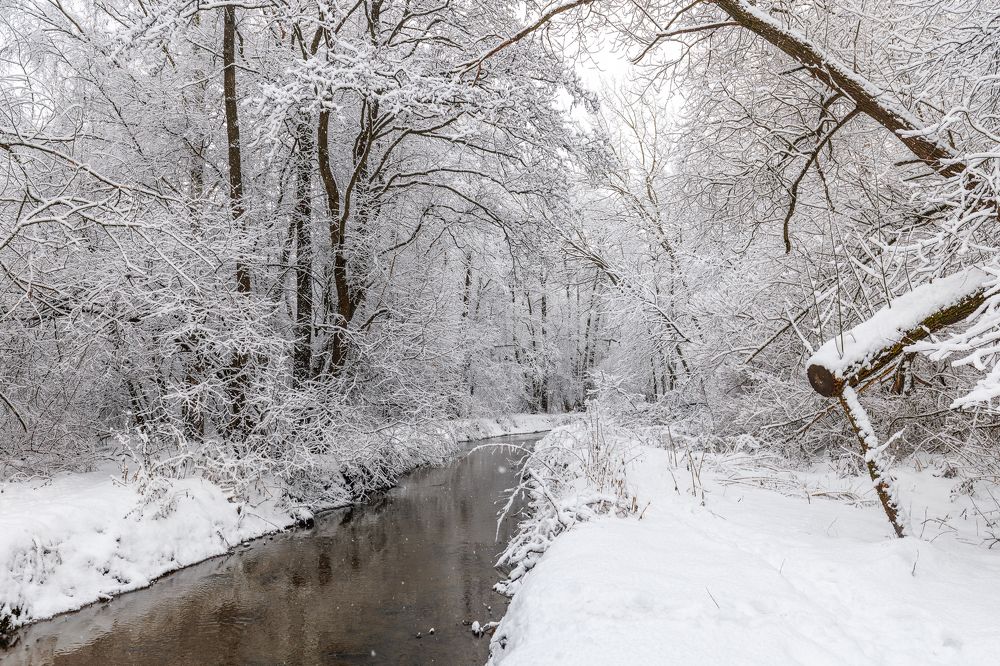 Photograph by Антон Науменко