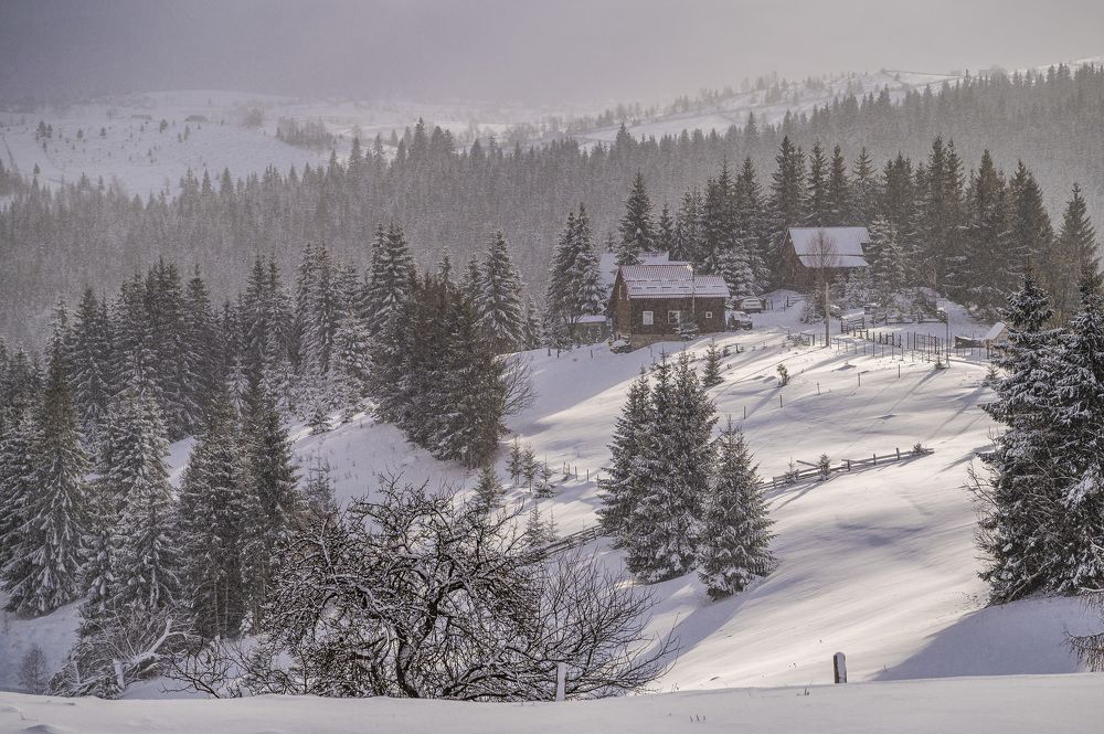 Photograph by levi bagy