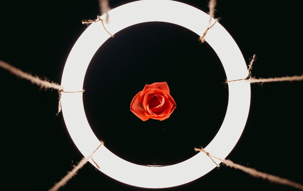 Фотография автора Анна Роганова