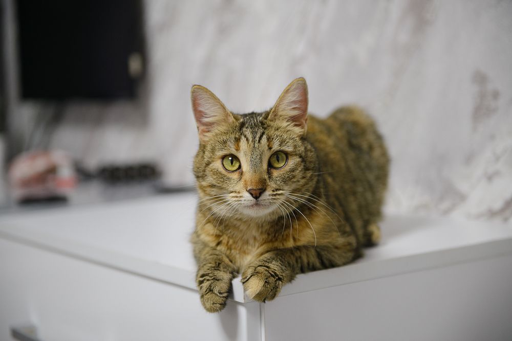 Photograph by Максим Торохов