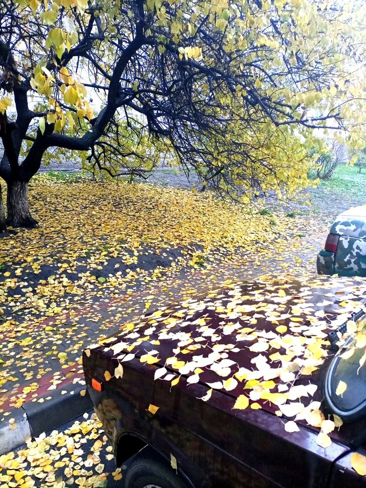 Photograph by Оксана Гамова