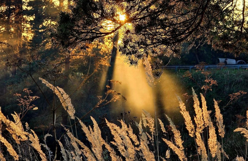 Photograph by Галина Искандарова