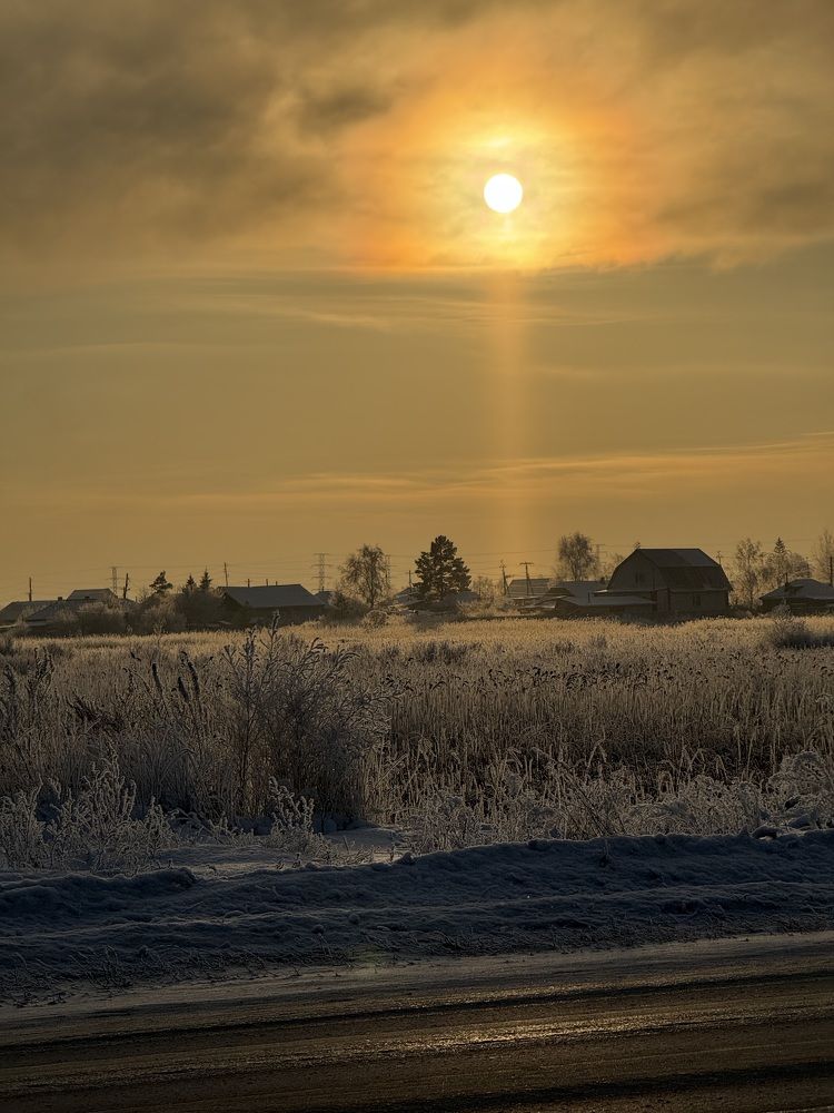 Photograph by Алёна Полухова