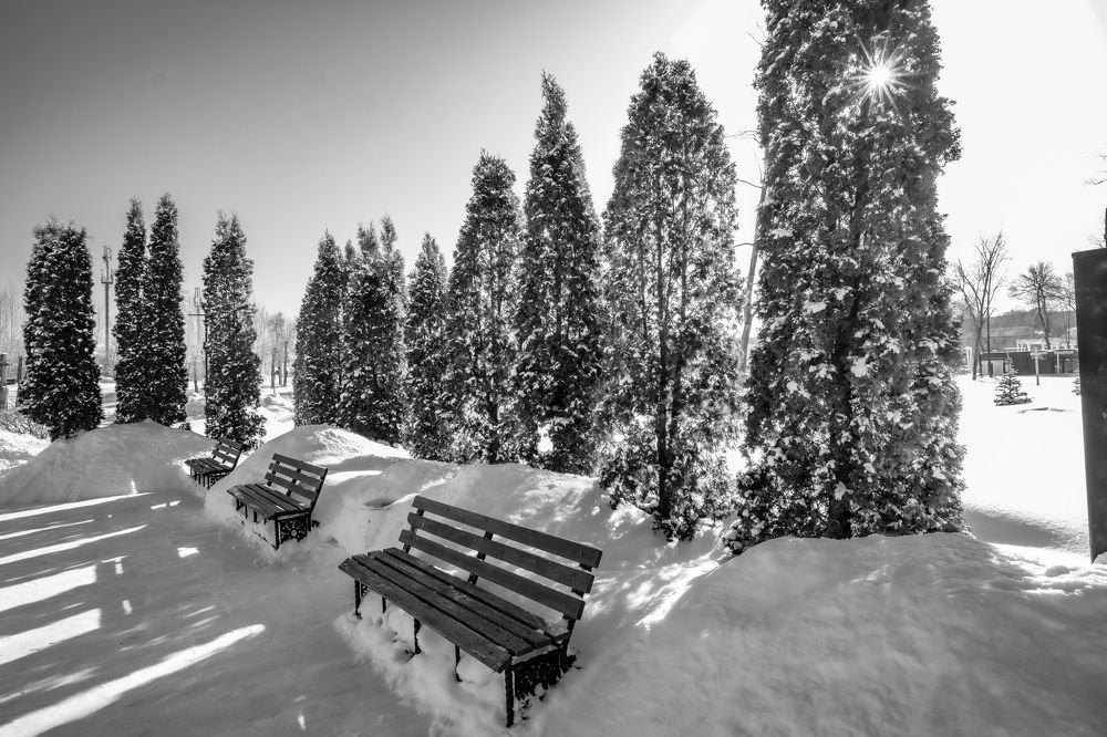 Фотография автора Андрей Арапов