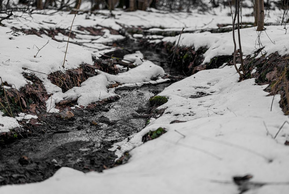 Photograph by Екатерина Каминская