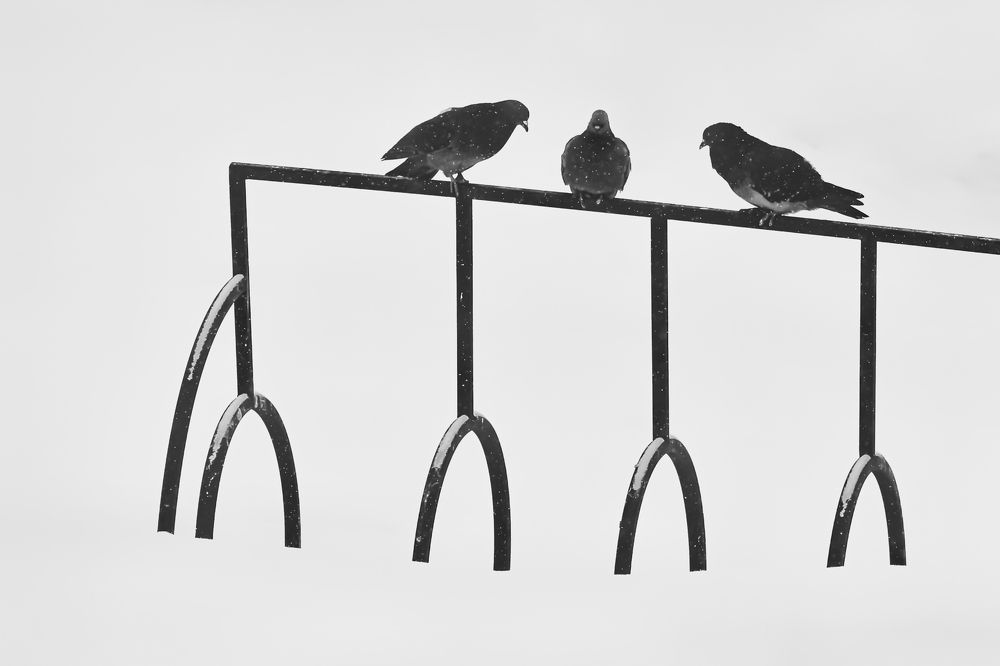 Photograph by Александр Малахов