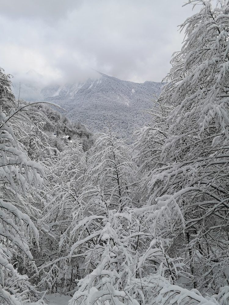 Photograph by Кристина