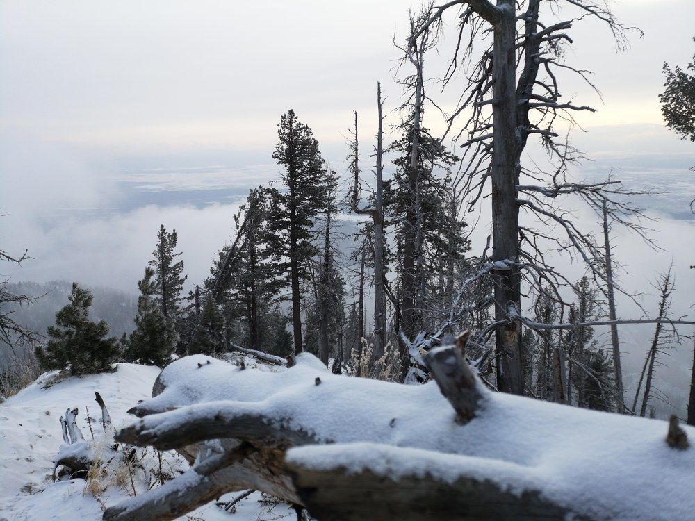 Photograph by Кристина