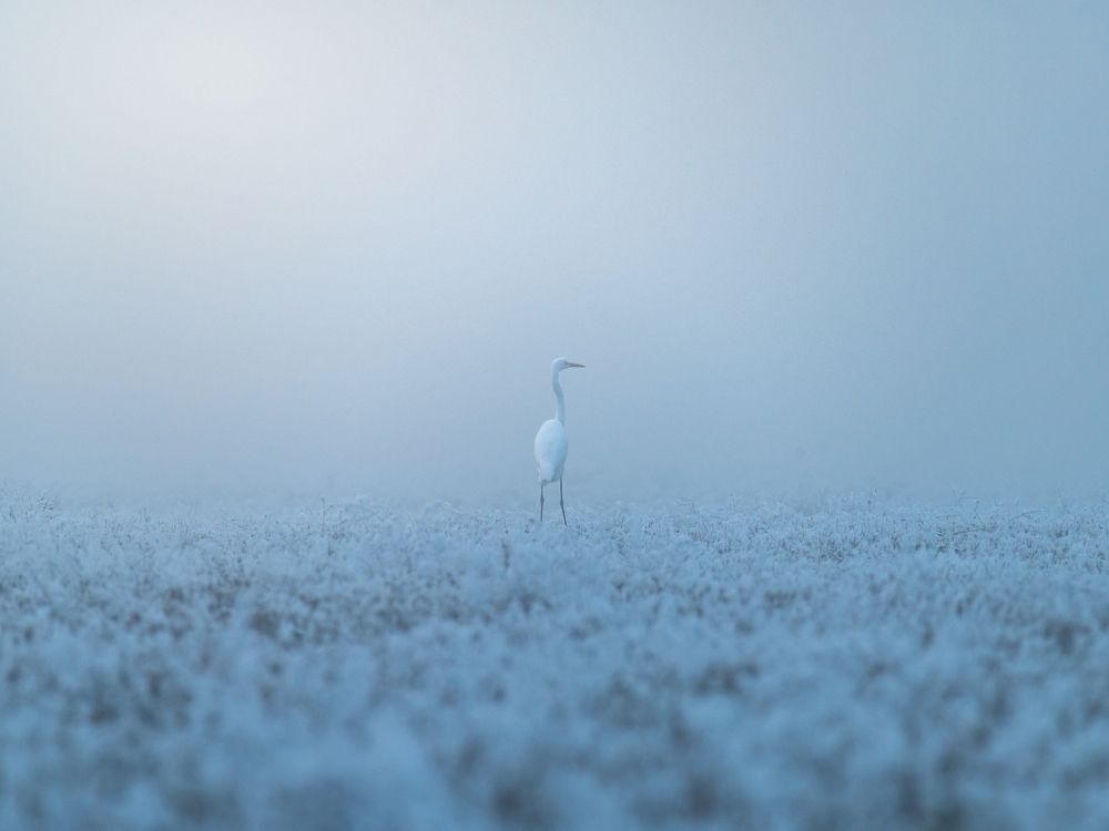 Photograph by Рамзан Давлетмирзаев