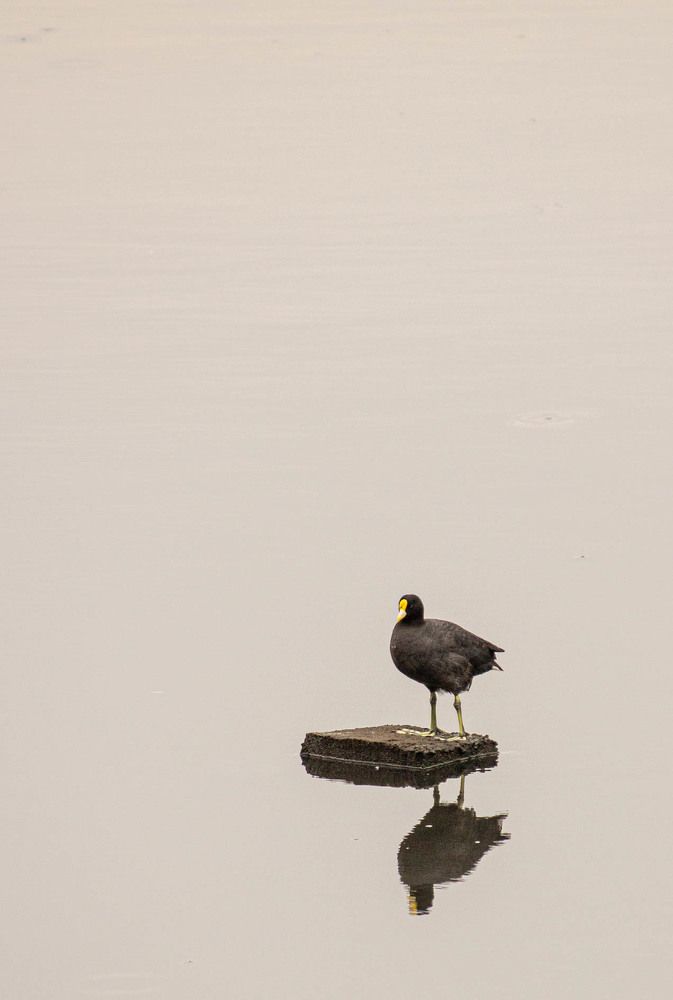 Photograph by Jorge Bagnuoli