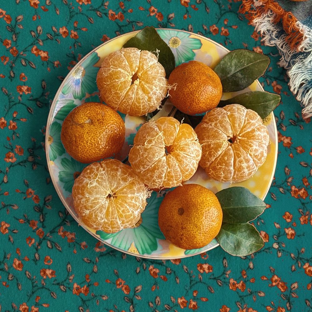 Фотография автора Евгения Никишина