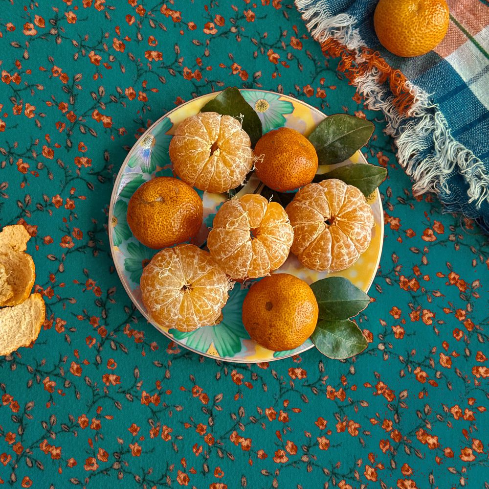 Фотография автора Евгения Никишина